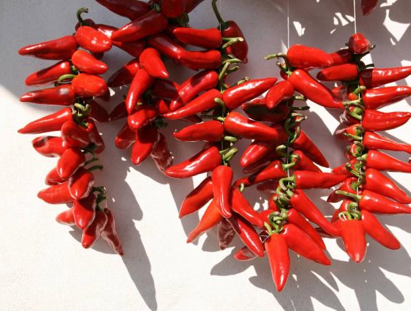 Piments d'Espelette AOP